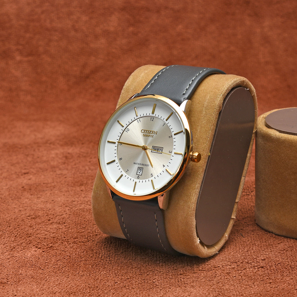 Citizen Formal Aurix